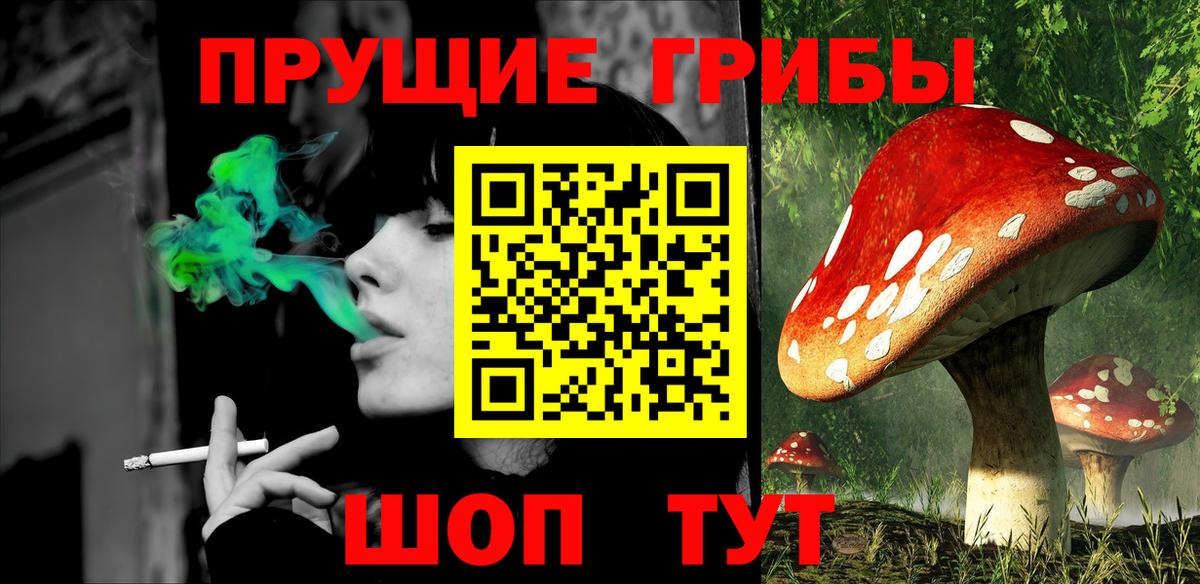 Галлюциногенные грибы MAGIC MUSHROOMS  Вход с VPN  Зима  Галлюциногенные грибы Psilocybe 
