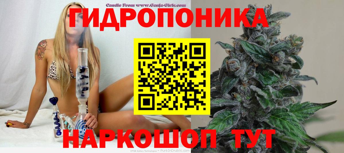 Бошки Шишки AK-47  МАРИХУАНА гибрид  Вход с VPN  Канабис семена  Зима 